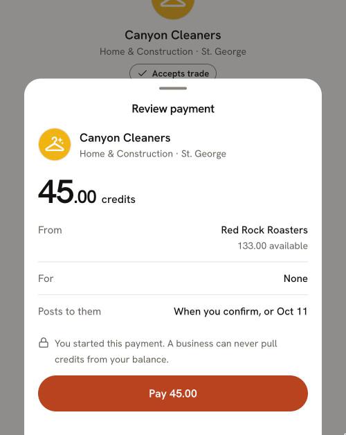 The Review payment sheet: 45 credits to Canyon Cleaners, posting when you confirm or on Oct 11, with a Pay 45.00 button